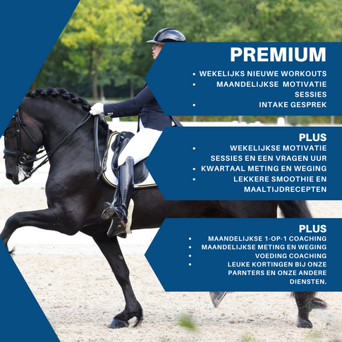 Convert2Fit Equestrian Premium