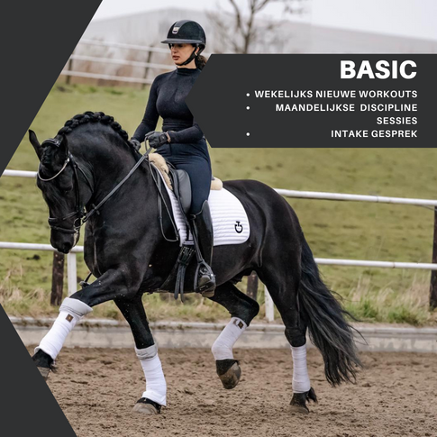 Convert2Fit Equestrian BASIC (OP)