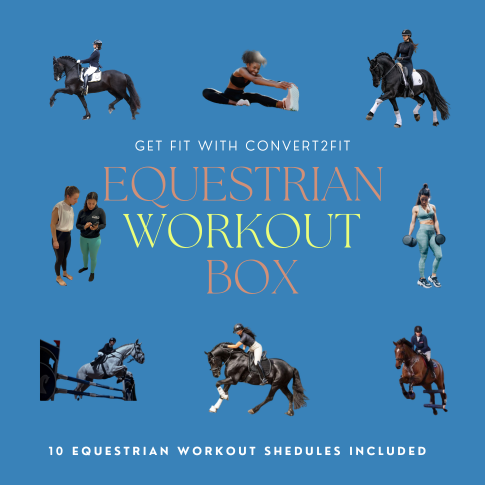 Equestrian Workout Box