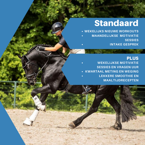 Convert2Fit Equestrian Standaard